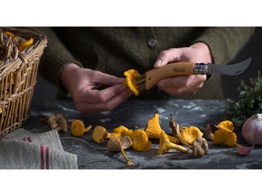 Opinel N8 set de ciuperci din stejar inox - KNIFESTOCK