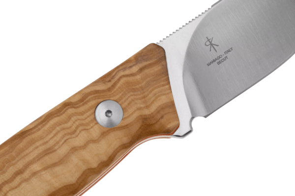 Fox-Knives Muzzle Fixed Knife Stainless Steel Becut Satin Blade, Olive Wood Handle FX-664 OL - KNIFESTOCK