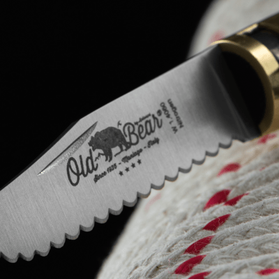 OLD BEAR® M - STAINLESS STEEL, WALNUT HANDLE, SERRATED BLADE 9337/19_LN - KNIFESTOCK