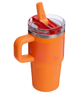 Stanley  The Quencher/Cup Protour Flip Straw Tumbler 600 ml/20oz/20oz Goldenrod - KNIFESTOCK