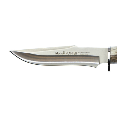 Muela  POINTER-13A - KNIFESTOCK