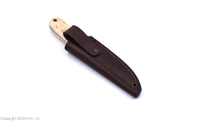 Brisa Necker 70-Curly birch 12C27 Scandi Sheath Necker 70 Leather BRS-010-9800-1549 - KNIFESTOCK