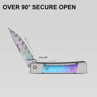 Kizer Little Grand Rainb.DAM Crystallized Titanium - KNIFESTOCK