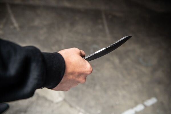 Tops Knives Brush Wolf TPBWLF01 - KNIFESTOCK