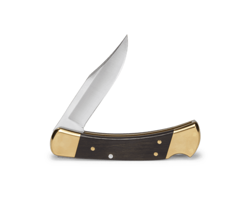 Buck 110 Folding Hunter® BU-0110BS - KNIFESTOCK