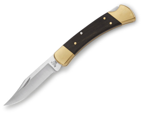 Buck 110 Folding Hunter® BU-0110BS - KNIFESTOCK