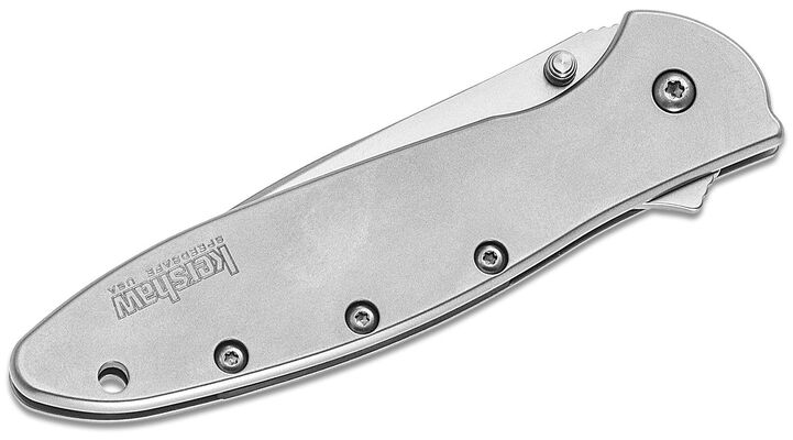 KERSHAW Ken Onion LEEK Assisted Flipper Knife, Bead Blast Combo Blade K-1660ST - KNIFESTOCK