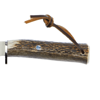 Muela  POINTER-13A - KNIFESTOCK