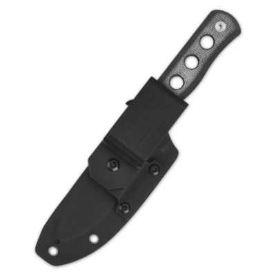 QSP Knife Canary Fixed Blade QS155-B1 - KNIFESTOCK