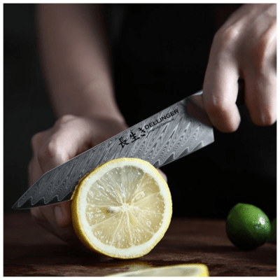 Dellinger Petty Knife 130 mm Dellinger Longevity Damascus Edition - KNIFESTOCK