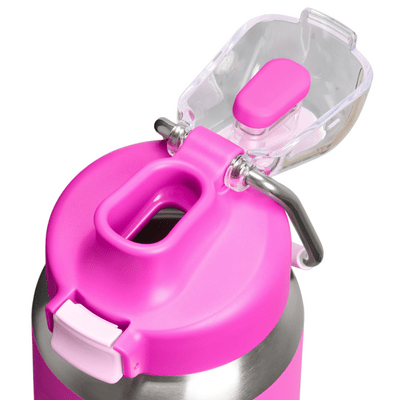 Stanley Termofľaša The Wellspring Bottle 700 ml Violet Blossom  - KNIFESTOCK