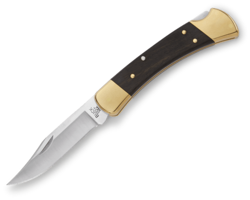 BUCK 110 Folding Hunter® BU-0110BRS - KNIFESTOCK