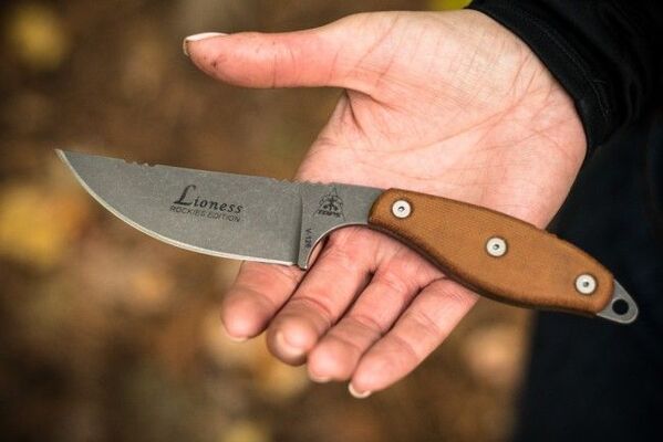 TOPS KNIVES Lioness Rockies Edition LION-TBF - KNIFESTOCK