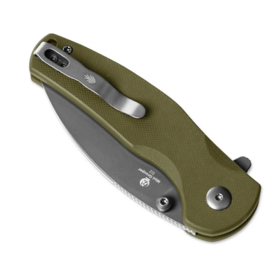 Kizer Button Liner Lock Mini Grouper Azo D2 G10 V3669A3 - KNIFESTOCK