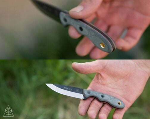 TOPS KNIVES Mini Scandi Neck Knife Black Micarta 02TP105 - KNIFESTOCK