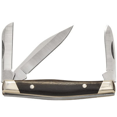 Buck Cadet Ebony Wood 420HC BU-0303BRS2-B - KNIFESTOCK