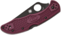 Spyderco C11BGBKP