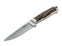 Boker Arbolito 02BA303H Arbolito Relincho Stag Corn