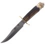 MUELA 160mm blade, stag deer handle, brass guard and Lion head cap LION-16BF