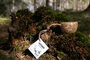 KUPILKA MOOMIN 12 Junior cup Moomintroll brown (120ml)