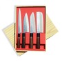 DELLINGER TSUCHIME ENSEMBLE DE HACHES SEKYRIU PO-9901000SRH