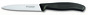 Victorinox kuchyňský nůž zoubkovaný 10 cm 6.7733