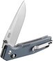 Ganzo Knife Firebird FB7601-GY