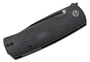 Petrified Fish PFP01 Beluga Black Stonewash K110 Black G10 PFP01DW