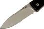 Lionsteel Folding knife with D2 blade, Black G10 with clip 8810 BK