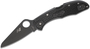 Spyderco Salt 2 Lightweight Black Black Blade/H1 C88PBBK2