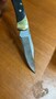 BUCK The 55®   BU-0055BRS