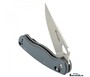 Ganzo G729-GY Knife Gray