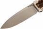 Lionsteel Folding knife with D2 blade, stag handle 8810 CE