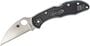 Spyderco Delica 4 Lightweight Black Flat Ground Wharncliffe C11FPWCBK