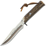 Muela  POINTER-13A