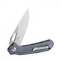 Ganzo Knife Firebird FH921-Gy