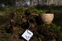 KUPILKA MOOMIN 37 Large cup Snufkin brown (370ml)