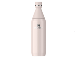 STANLEY The All Day Slim Bottle  0.6L / 20oz Rose Quartz 10-12069-021 - KNIFESTOCK