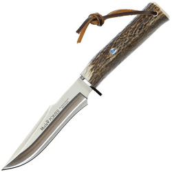 Muela  POINTER-13A - KNIFESTOCK