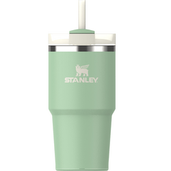 Stanley  The Quencher/Cup H2.O FlowState™ Tumbler 0.6L/20oz Pistachio 10-10826-363 - KNIFESTOCK