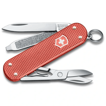Victorinox Classic SD Alox Limitovaná edícia 2025 0.6221.L25 - KNIFESTOCK