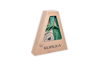 KUPILKA 33 + Spork Box SET Green 303362B K336G - KNIFESTOCK