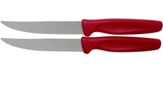 Wüsthof 2-Piece Steak/Pizza Knives Set, 10cm - KNIFESTOCK