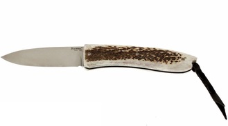Lionsteel Folding knife with D2 blade, stag handle 8810 CE - KNIFESTOCK