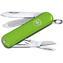 VICTORINOX Classic SD Colors, Smashed Avocado 0.6223.43G - KNIFESTOCK