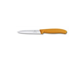 Victorinox Paring Knife 10 cm 6.7736.L9 - KNIFESTOCK